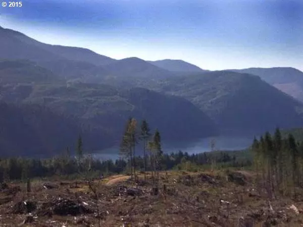 Cougar, WA 98616,8 Tract 8 Elk View Est