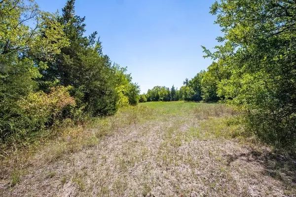 Pattonville, TX 75468,000 Farm Road 905