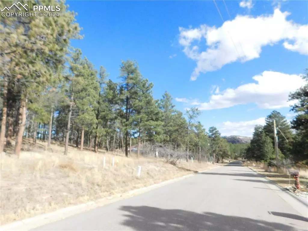 Larkspur, CO 80118,1345 Fremont DR