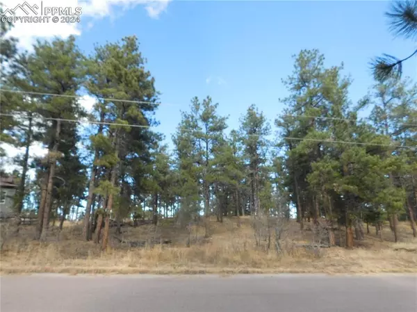 Larkspur, CO 80118,1345 Fremont DR