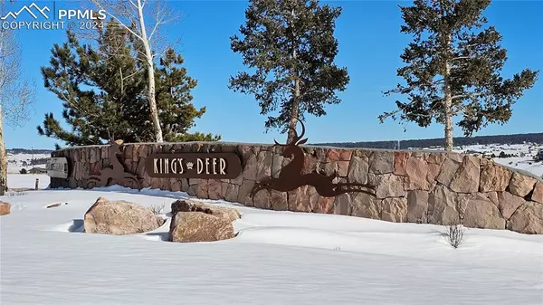 Monument, CO 80132,1318 Montcombe DR