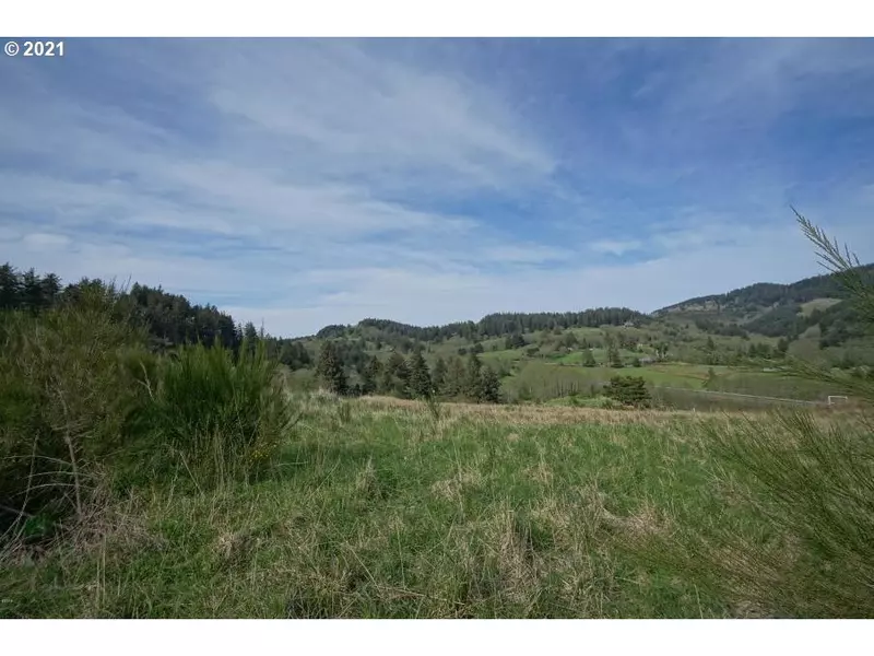 Heron View DR #Lot 3, Neskowin, OR 97149