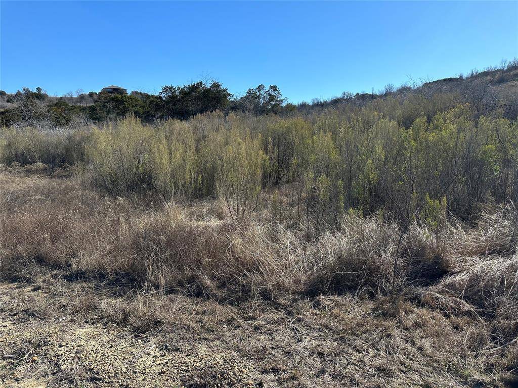 Graford, TX 76449,Lot 265 Canyon Wren Loop