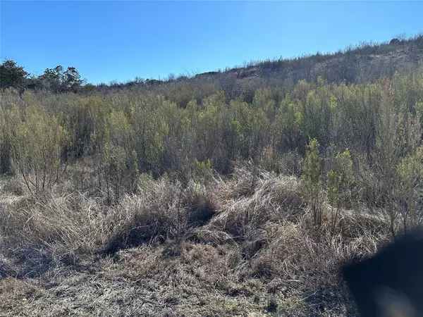 Graford, TX 76449,Lot 265 Canyon Wren Loop