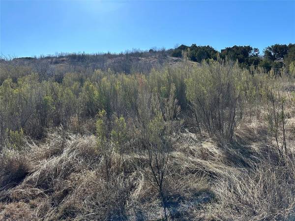 Graford, TX 76449,Lot 265 Canyon Wren Loop