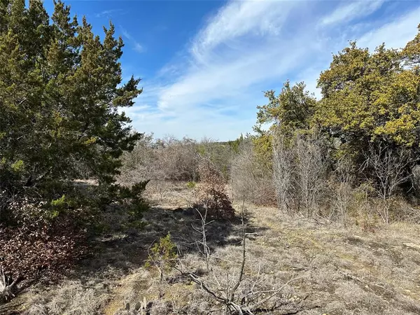 Possum Kingdom Lake, TX 76449,Lot 284 Shooting Star Court