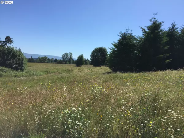 Big Buck DR #Lot 3, Deer Island, OR 97054