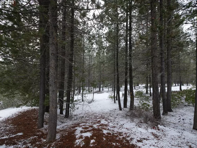 Pine Creek LOOP, Crescent Lake, OR 97733