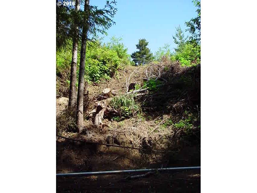 Florence, OR 97439,Russell DR #02700