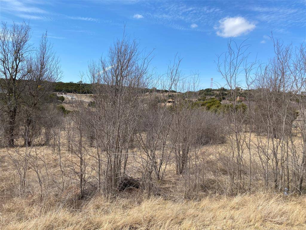 Possum Kingdom Lake, TX 76449,Lot508 Canyon Wren Loop