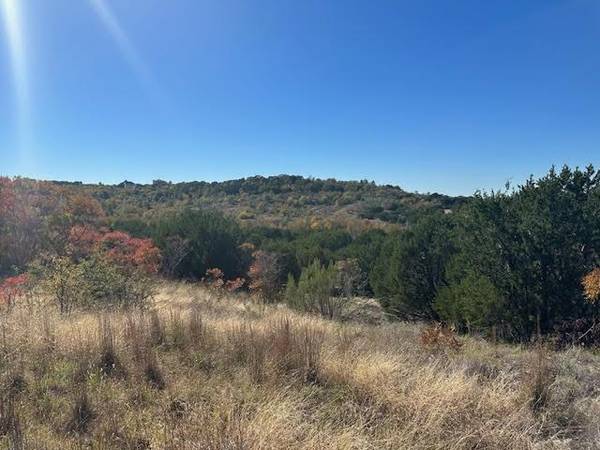 Lot 668 Balcones Lane, Possum Kingdom Lake, TX 76449