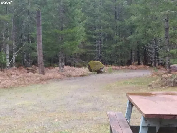 Cougar, WA 98616,Loowit LN