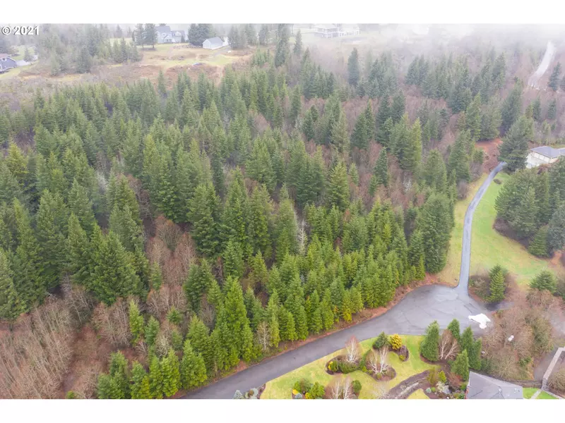 0 NE Livingston Mountain CIR, Camas, WA 98607