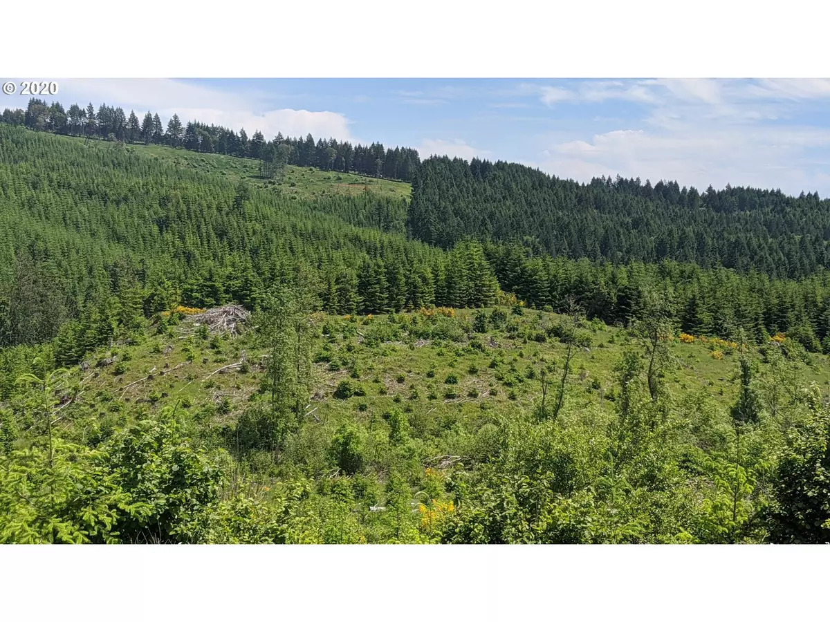 Forest Grove, OR 97116,NW Timmerman RD #2