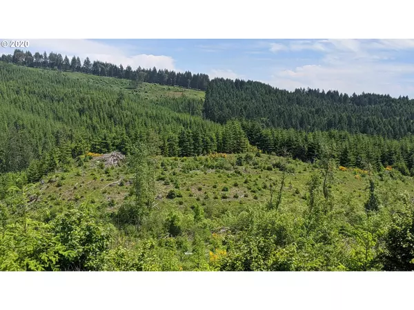 NW Timmerman RD #2, Forest Grove, OR 97116