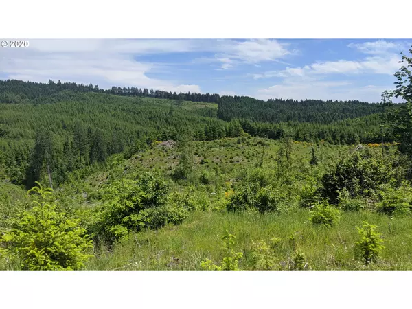 Forest Grove, OR 97116,NW Timmerman RD #2