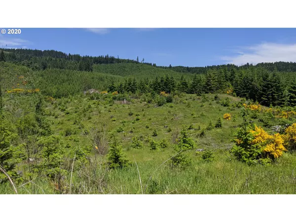 Forest Grove, OR 97116,NW Timmerman RD #2