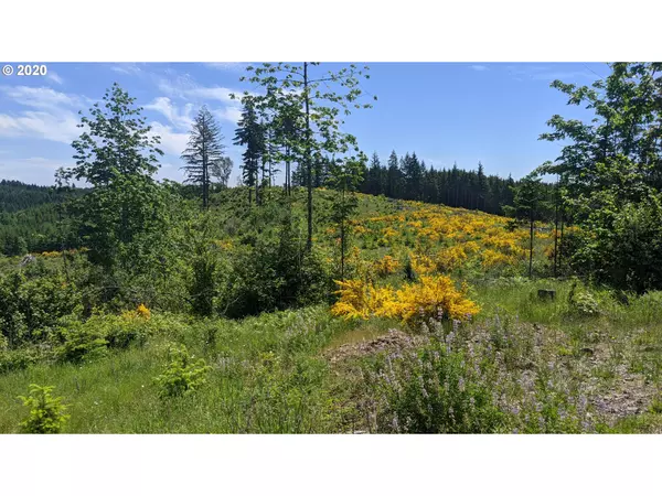 Forest Grove, OR 97116,NW Timmerman RD #2