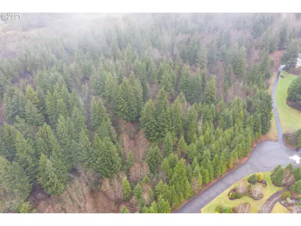 Camas, WA 98607,0 NE Livingston Mountain CIR