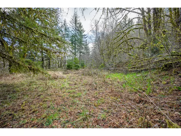 Willamina, OR 97396,41205 SW PUMPKINSEED RD