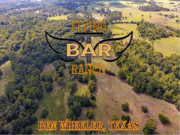 2203 FM 858, Ben Wheeler, TX 75754