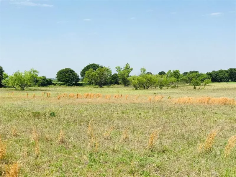 25.586 Acres TBD Co Road 377, Rising Star, TX 76471