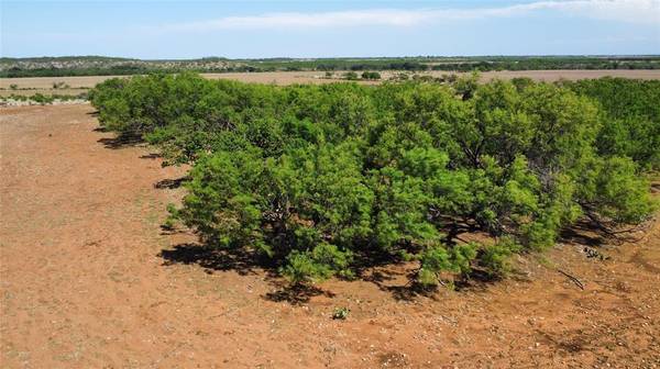 Gouldbusk, TX 76845,1047 County Road 346