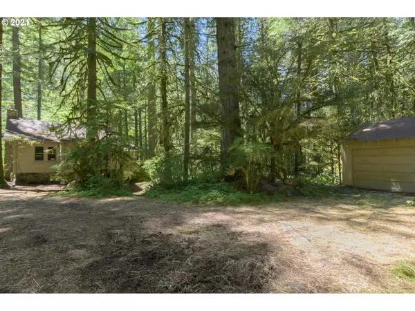 Rhododendron, OR 97049,74280 E ROAD 24 #Lot 4