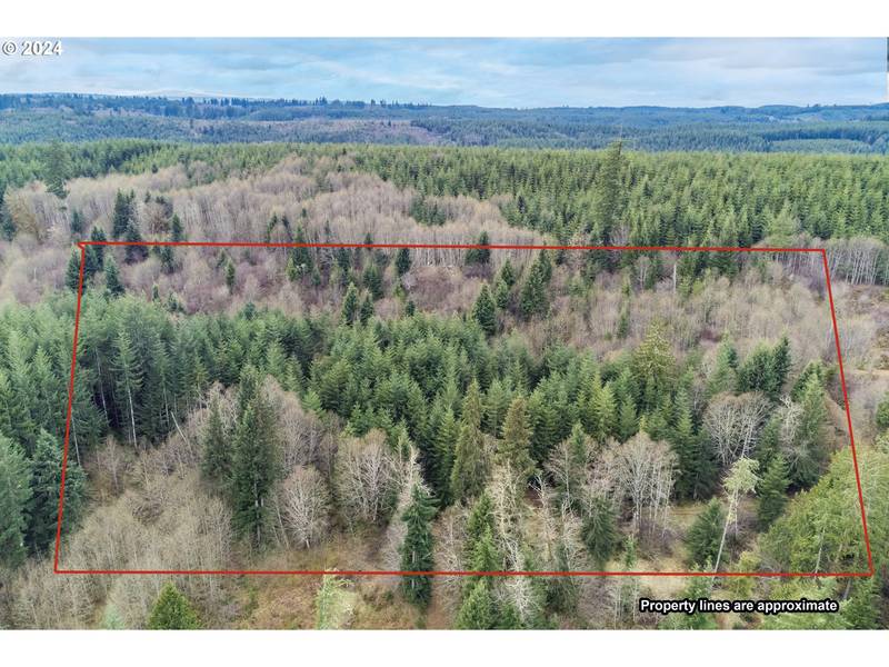 0 Germany Creek RD, Longview, WA 98632