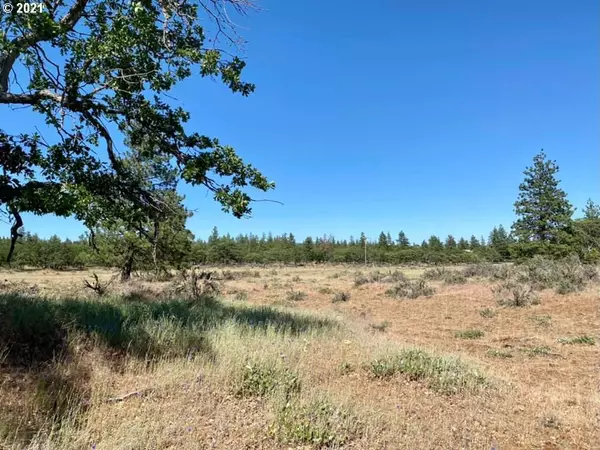 Goldendale, WA 98620,Woodland RD