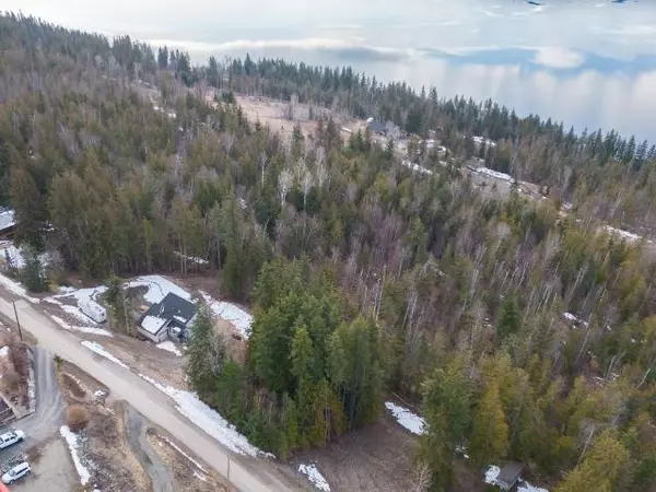 North Shuswap, BC V0E 1M8,LOT 8 STAMPEDE TRAIL