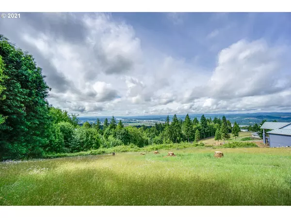 Woodland, WA 98674,110 MORRISON HEIGHTS RD