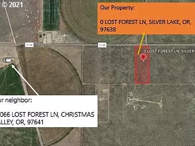 Christmas Valley, OR 97641,Lost Forest LN