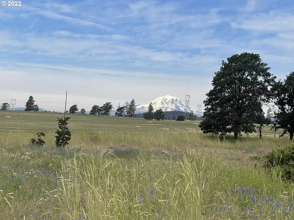 Goldendale, WA 98620,N Winterstein RD #3