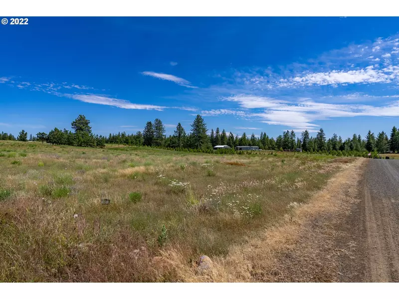 12 SADDLE DR, Goldendale, WA 98620