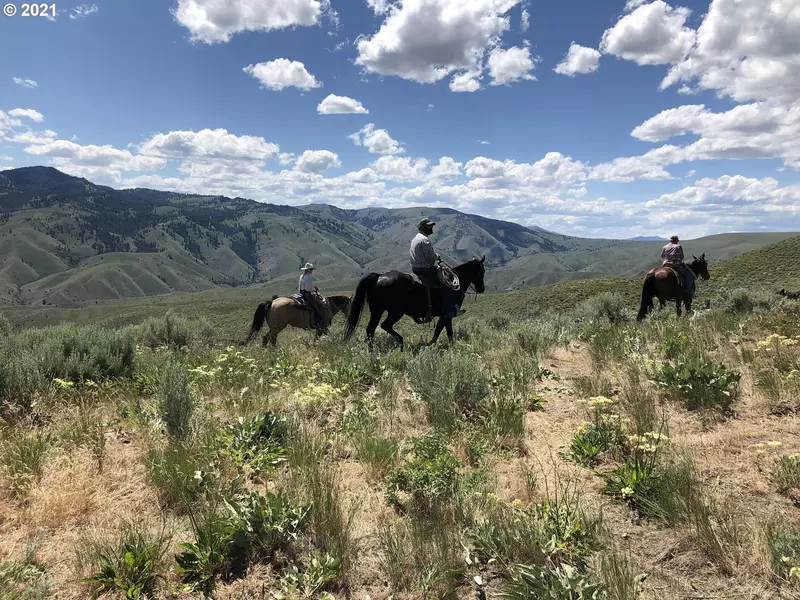 Shirttail Creek RD, Durkee, OR 97905