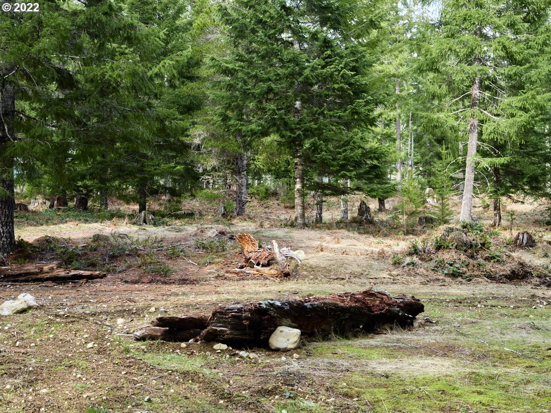 Cougar, WA 98616,5 Loowit LN