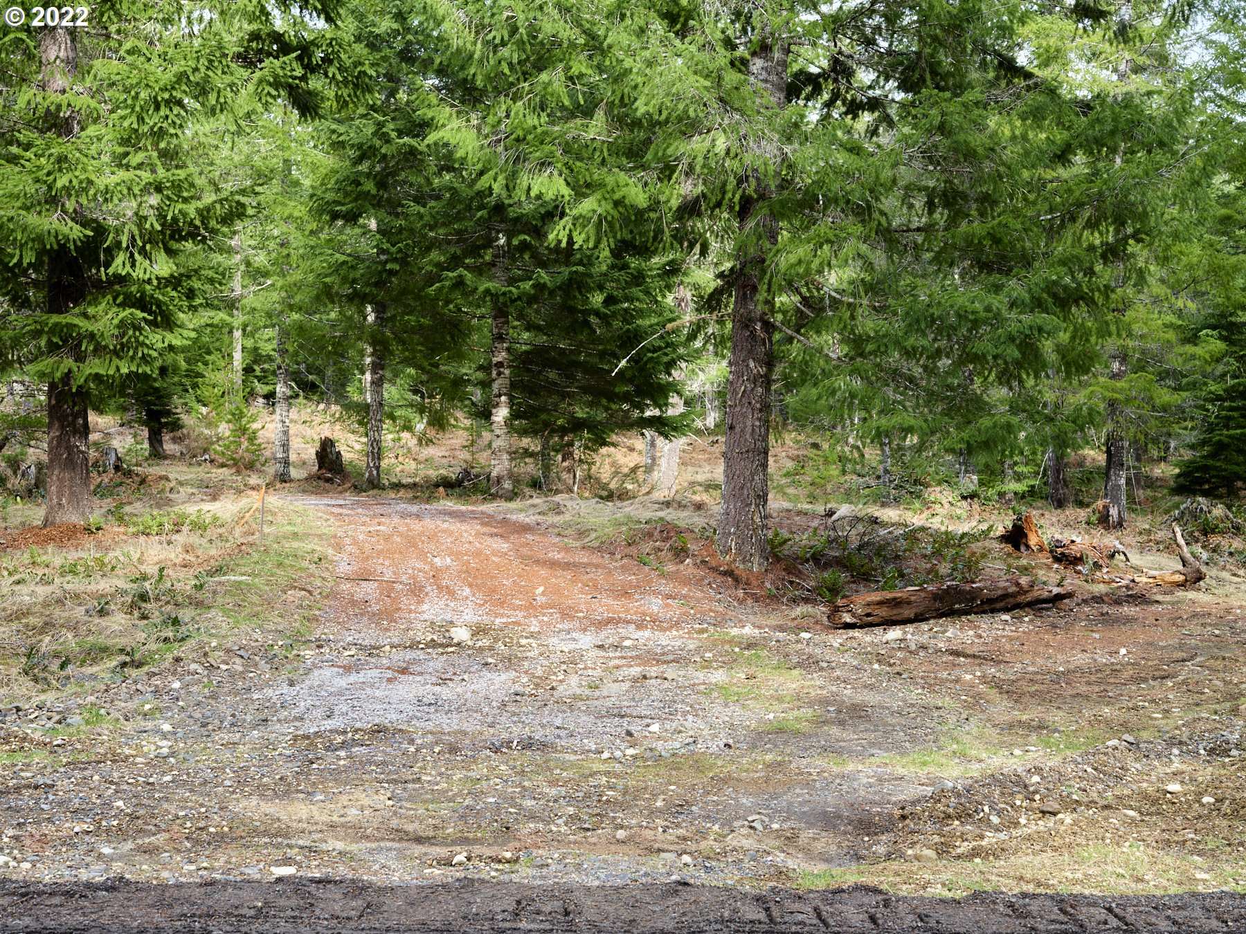 Cougar, WA 98616,5 Loowit LN