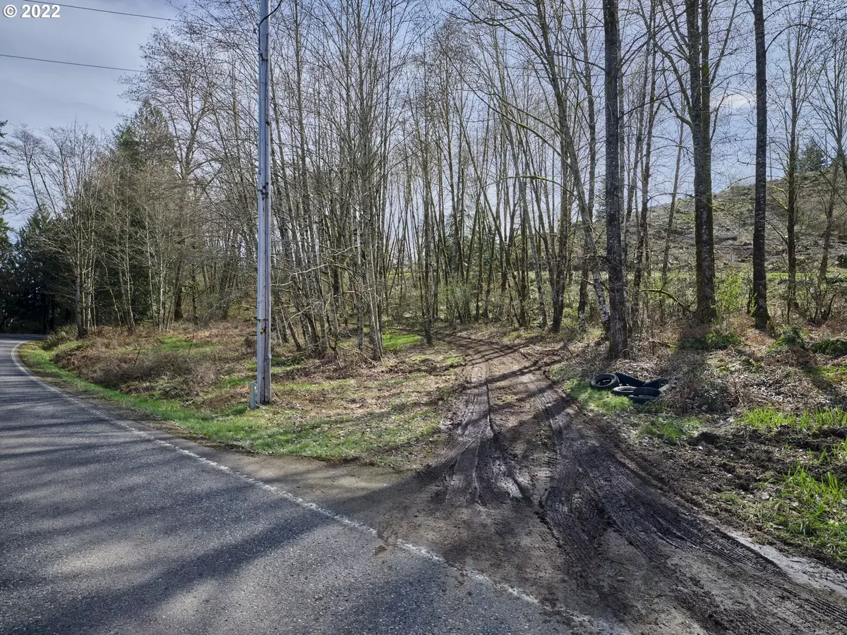 Woodland, WA 98674,11413 NE CEDAR CREEK RD