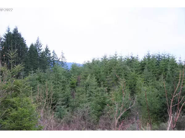 0 NW Timber (Golden) RD, Forest Grove, OR 97116