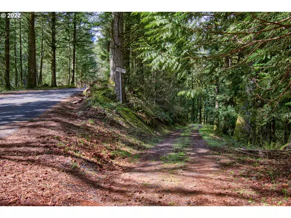 Skamania, WA 98648,2162 DUNCAN CREEK RD