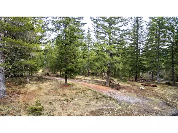 Cougar, WA 98616,5 Loowit LN