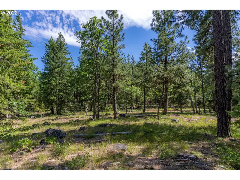 16 INDIAN HILL TR, Goldendale, WA 98620