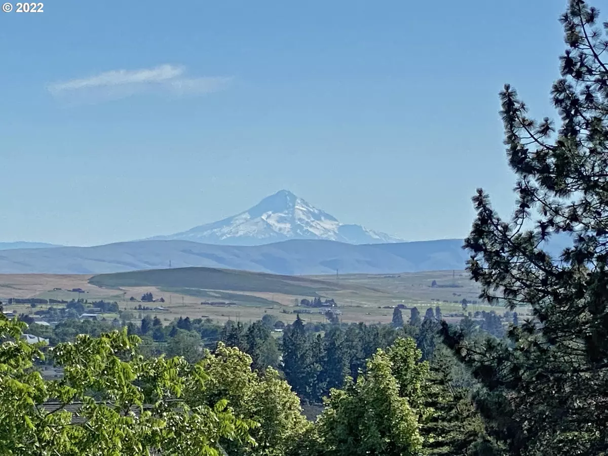 Goldendale, WA 98620,1023 Hoodview PL