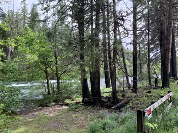 Blue River, OR 97413,54645 McKenzie River DR