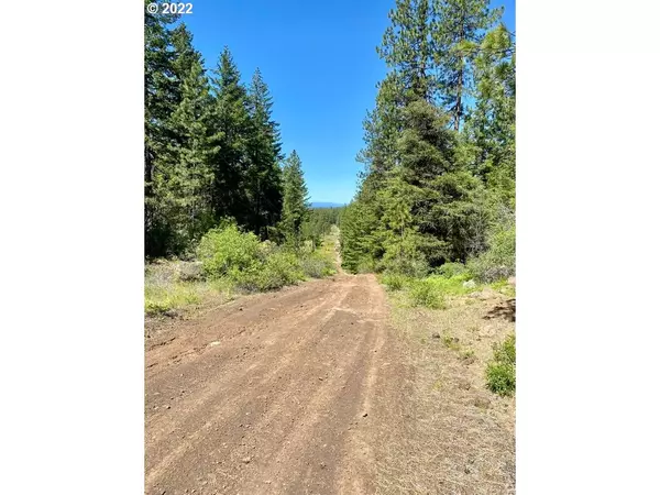 Goldendale, WA 98620,Forest Glen DR