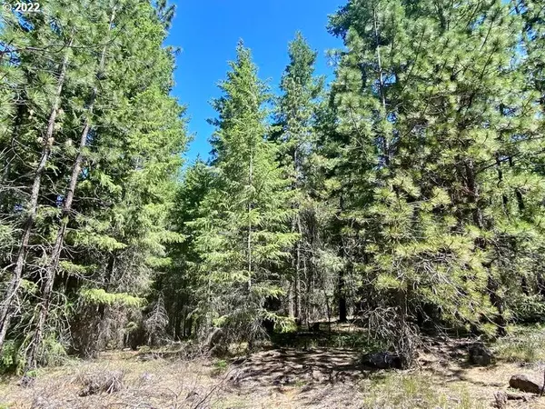 Goldendale, WA 98620,Forest Glen DR