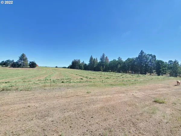 Goldendale, WA 98620,6 Chianti RD #Lot 1