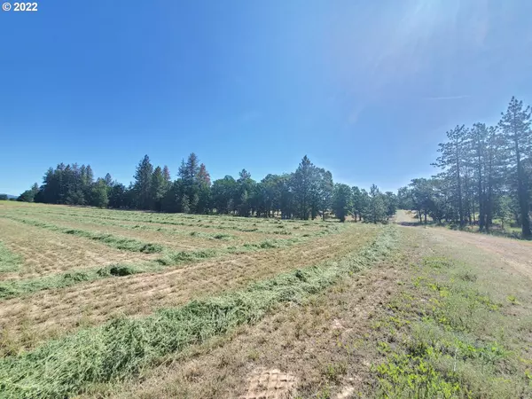 Goldendale, WA 98620,6 Chianti RD #Lot 1