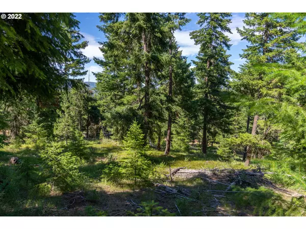 Goldendale, WA 98620,16 INDIAN HILL TR